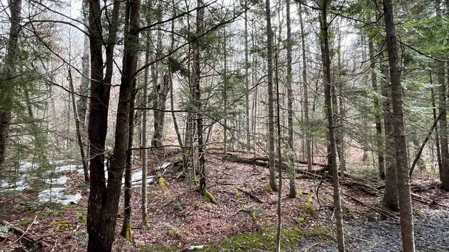 $164,500 | 0 Route 155 Weston Vt 05161, Weston, VT 05161