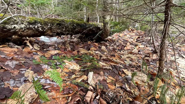 $164,500 | 0 Route 155 Weston Vt 05161, Weston, VT 05161