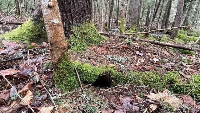 $164,500 | 0 Route 155 Weston Vt 05161, Weston, VT 05161