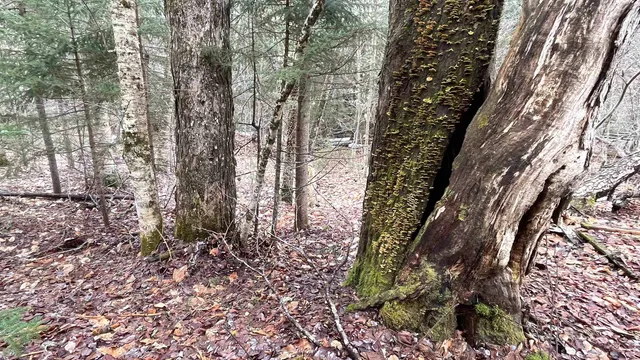 $164,500 | 0 Route 155 Weston Vt 05161, Weston, VT 05161