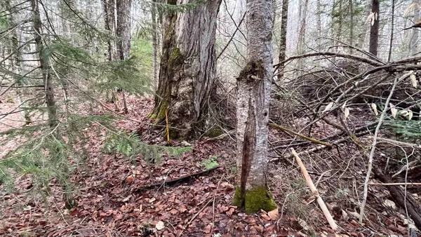 $164,500 | 0 Route 155 Weston Vt 05161, Weston, VT 05161