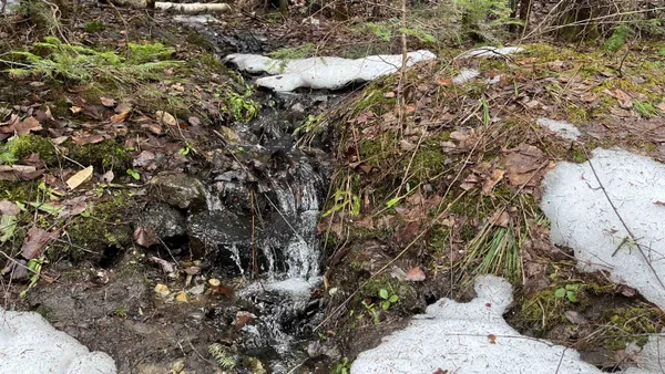 $164,500 | 0 Route 155 Weston Vt 05161, Weston, VT 05161