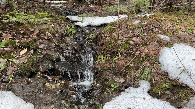 $164,500 | 0 Route 155 Weston Vt 05161, Weston, VT 05161