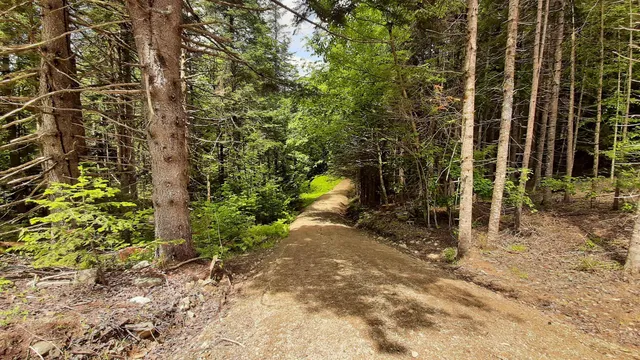 $164,500 | 0 Route 155 Weston Vt 05161, Weston, VT 05161