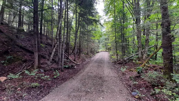 $164,500 | 0 Route 155 Weston Vt 05161, Weston, VT 05161