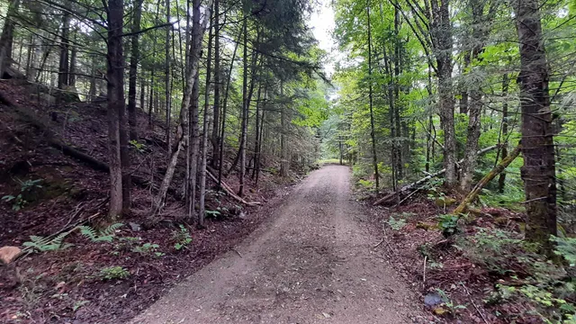 $164,500 | 0 Route 155 Weston Vt 05161, Weston, VT 05161