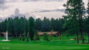 2698 Snow Slope Way Pinetop, AZ 85935 - Photo 18 of 20