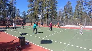 2698 Snow Slope Way Pinetop, AZ 85935 - Photo 19 of 20