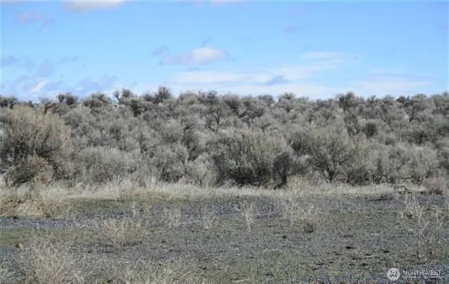 a view of a dry field