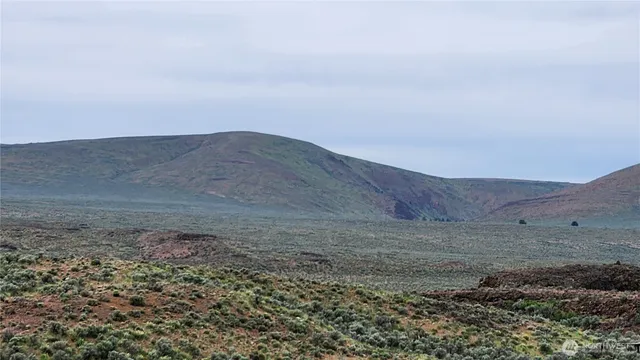 a view of a dry yard with mountains in the background