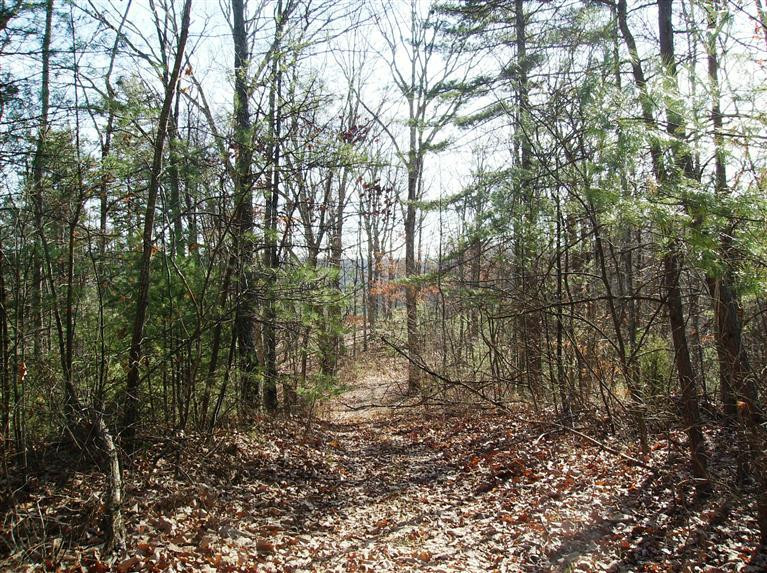 3 Umber Fork Road Campton, KY 41301 - Photo 7 of 22 Photo 7
