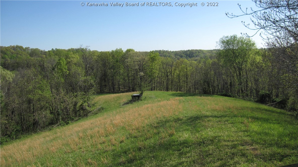 0 Edmonds Branch Road Ona, WV 25545 - Photo 25 of 28 Gallery Image 25