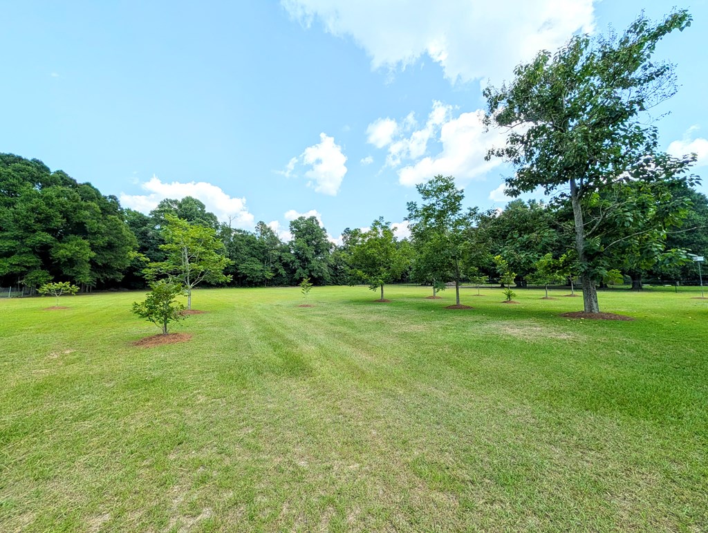 3117 Holland Road Newton, AL 36352 - Photo 75 of 78