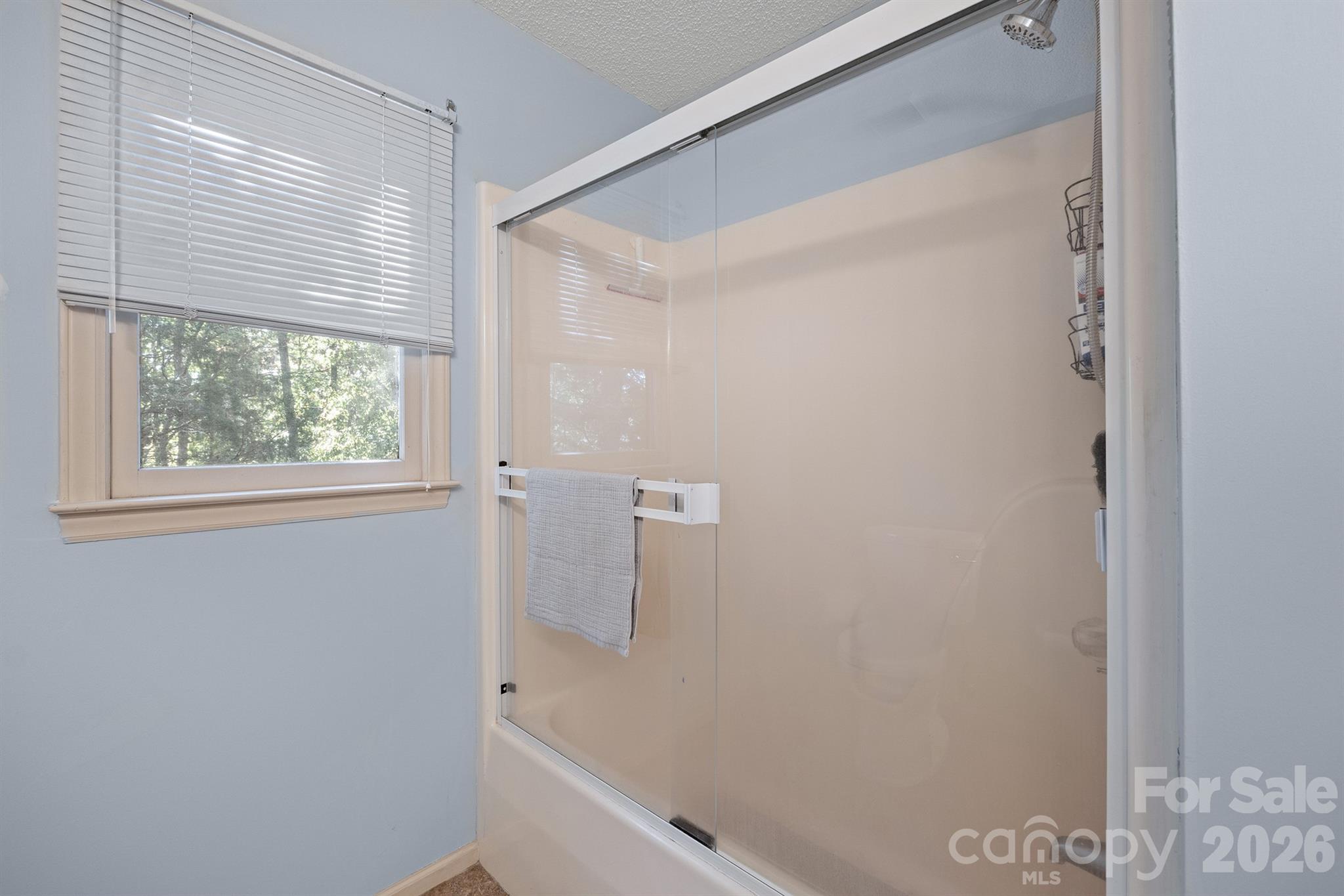 16003 Molokai Drive Tega Cay, SC 29708 - Photo 25 of 30