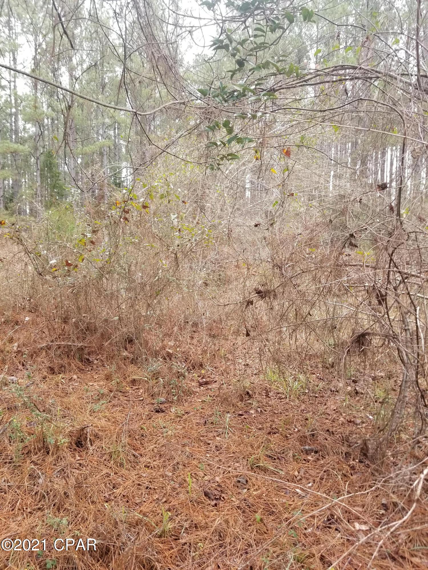 2981 Beall Packing Road Bonifay, FL 32425 - Photo 37 of 38 Gallery Image 37