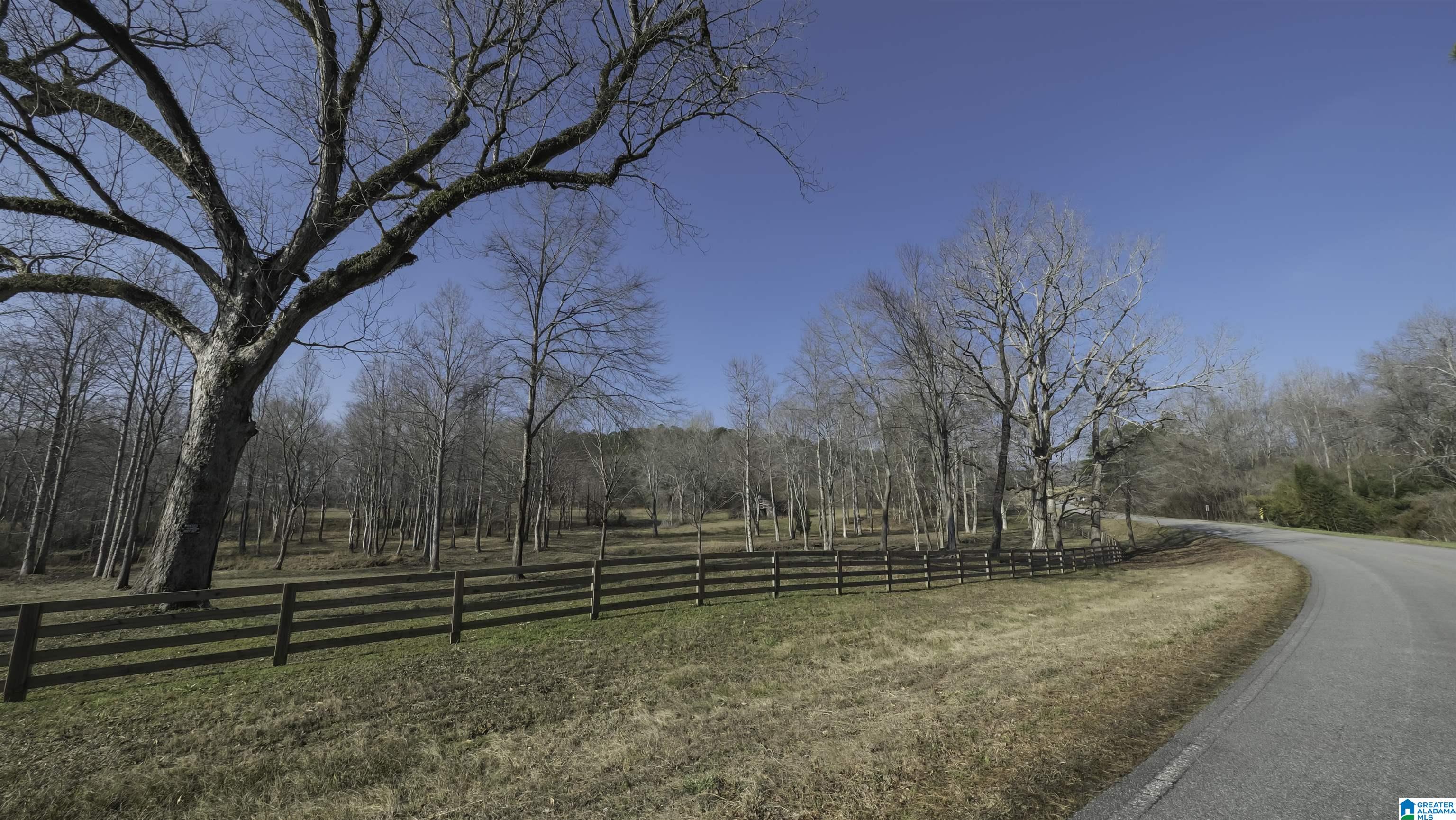 4970 Blakes Ferry Road Lineville, AL 36266 - Photo 18 of 24 Gallery Image 18