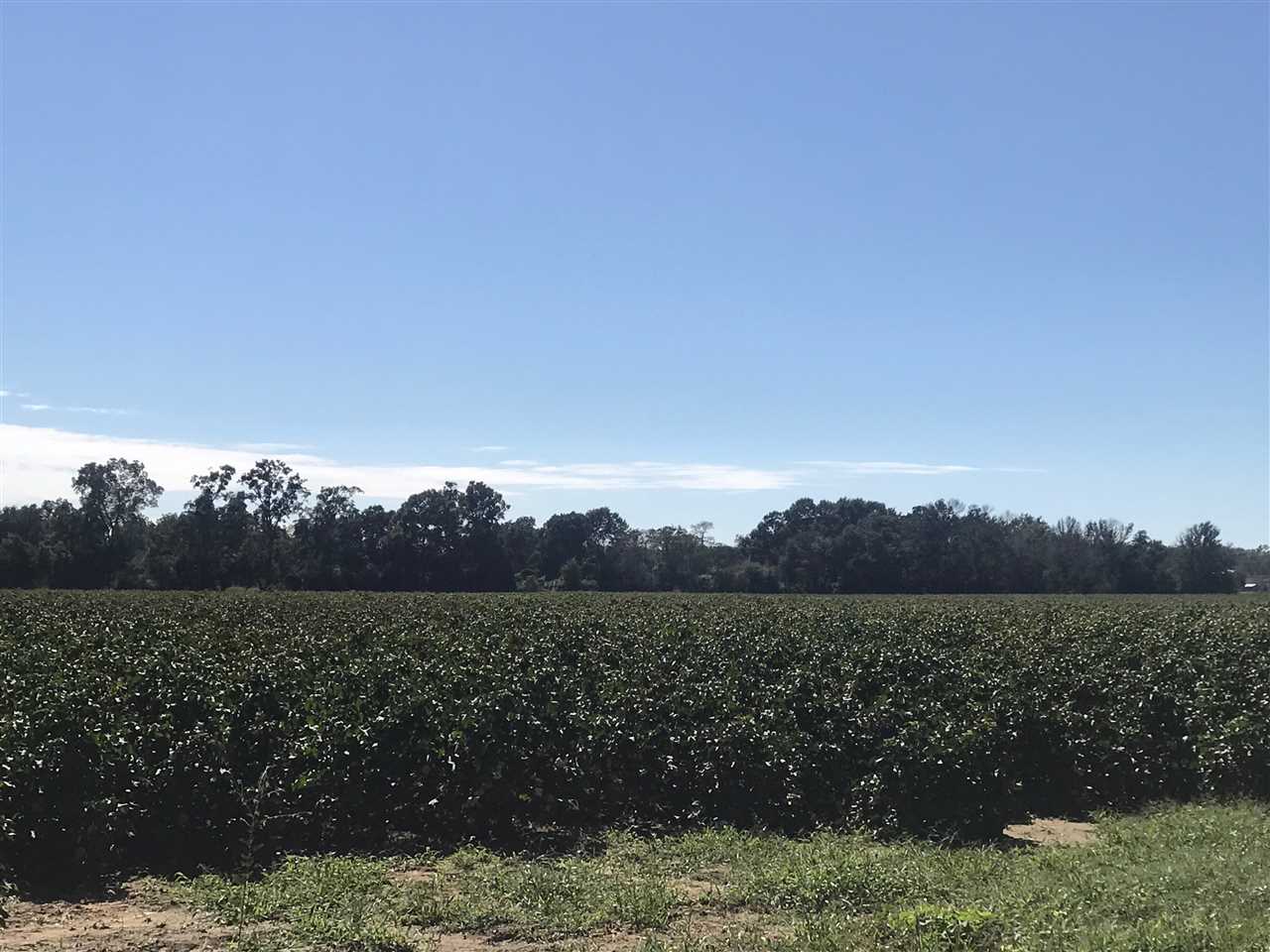 0 Rebel Road Daphne, AL 36526 - Photo 1 of 6