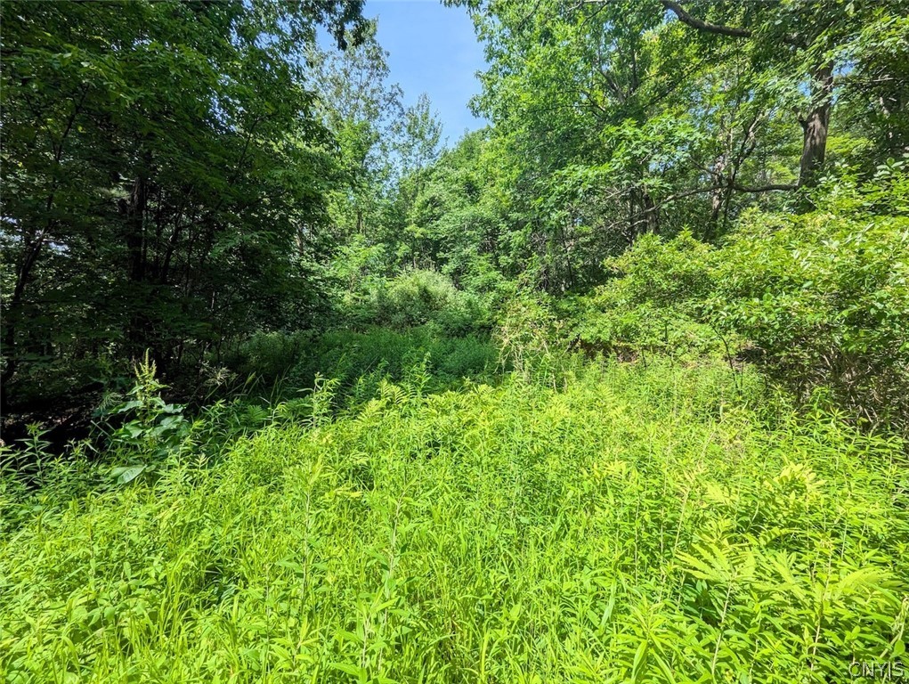 Keifer Hollow Road Dansville, NY 14437 - Photo 28 of 33