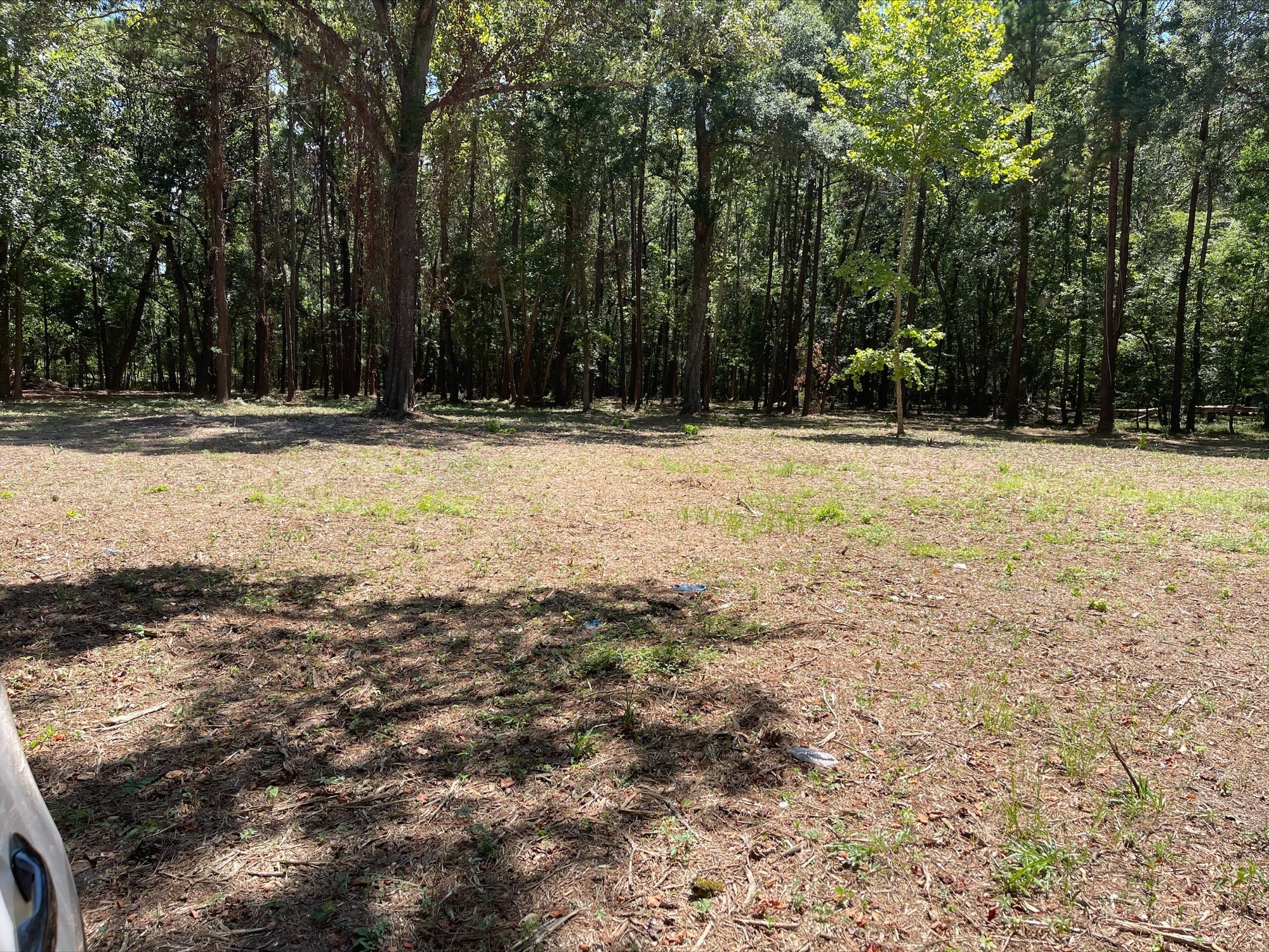 5 River Terrace Road Huffman, TX 77336 - Photo 2 of 8