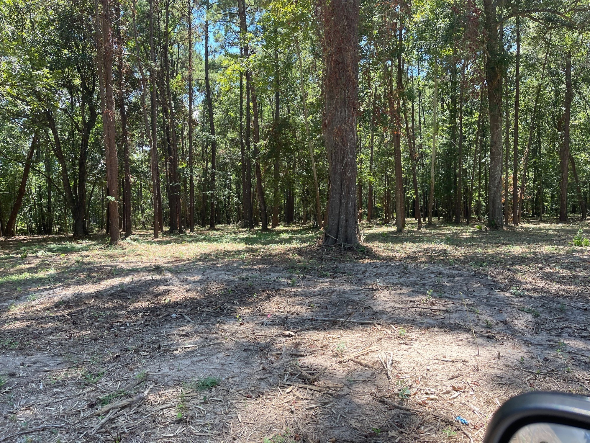 5 River Terrace Road Huffman, TX 77336 - Photo 3 of 8