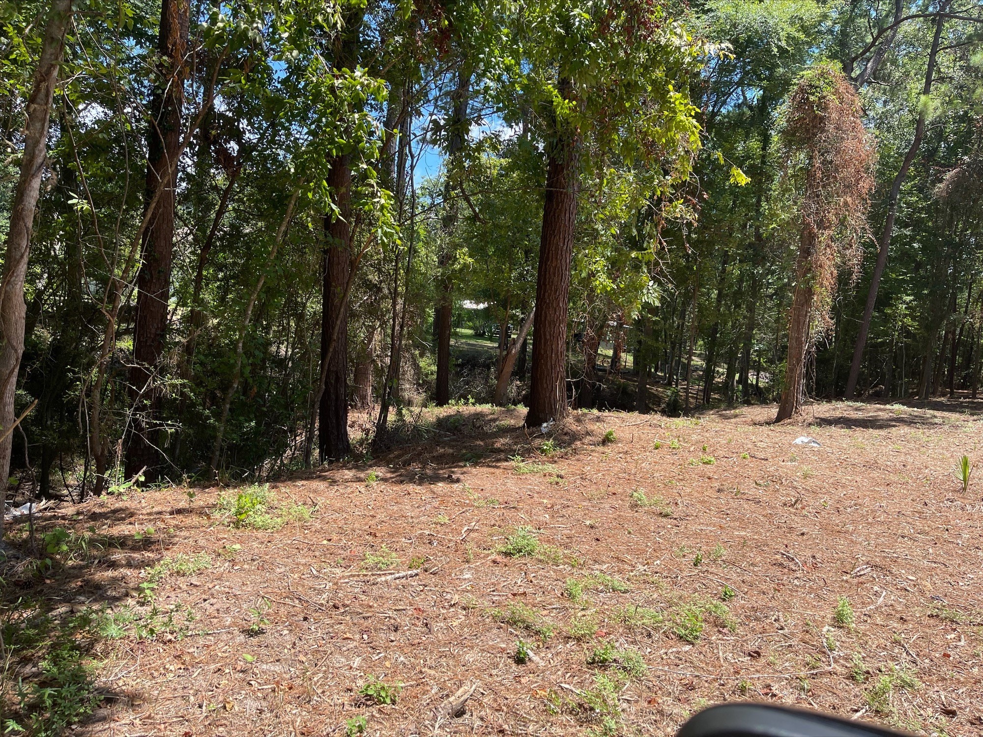 5 River Terrace Road Huffman, TX 77336 - Photo 4 of 8