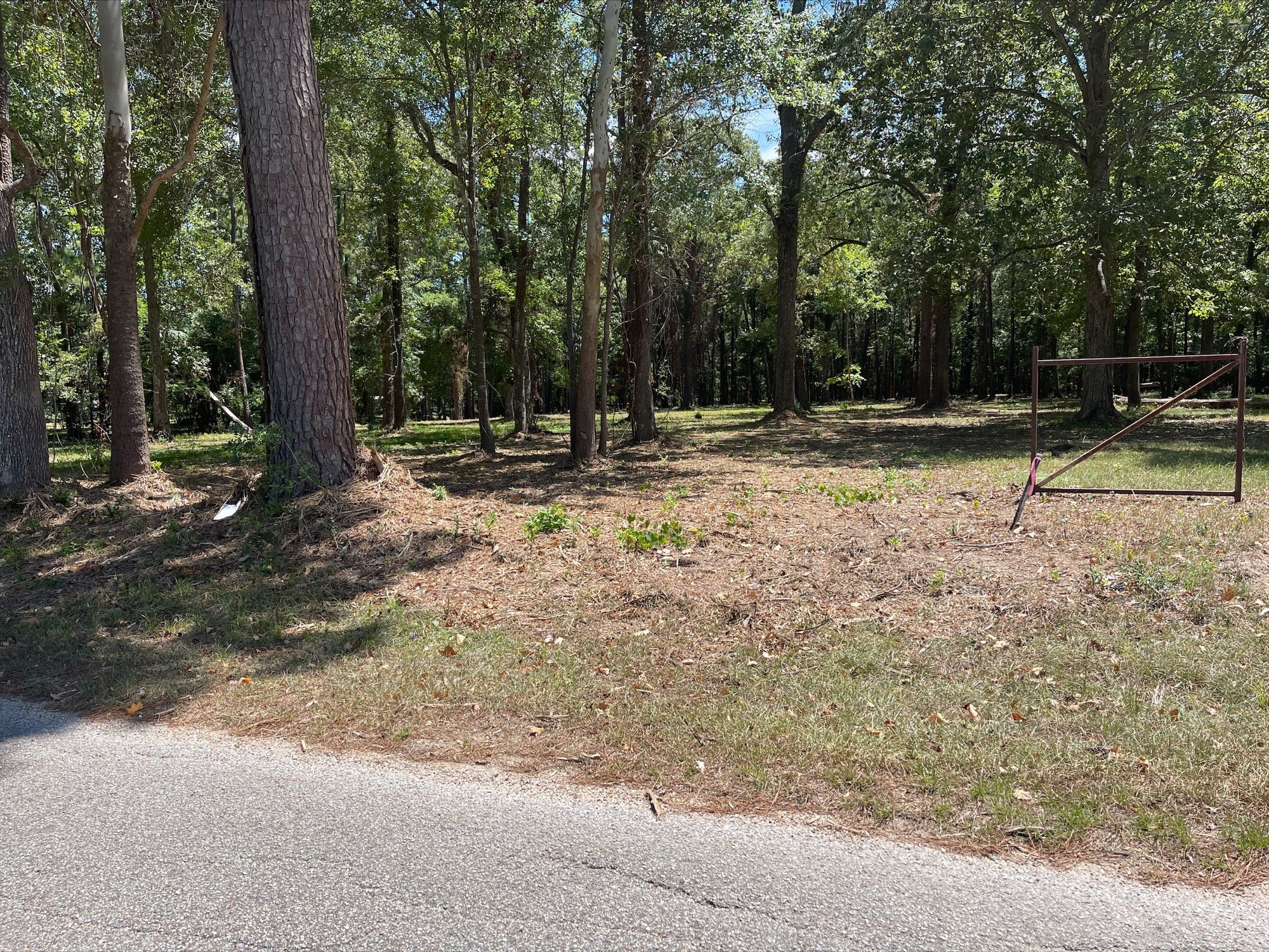 5 River Terrace Road Huffman, TX 77336 - Photo 6 of 8