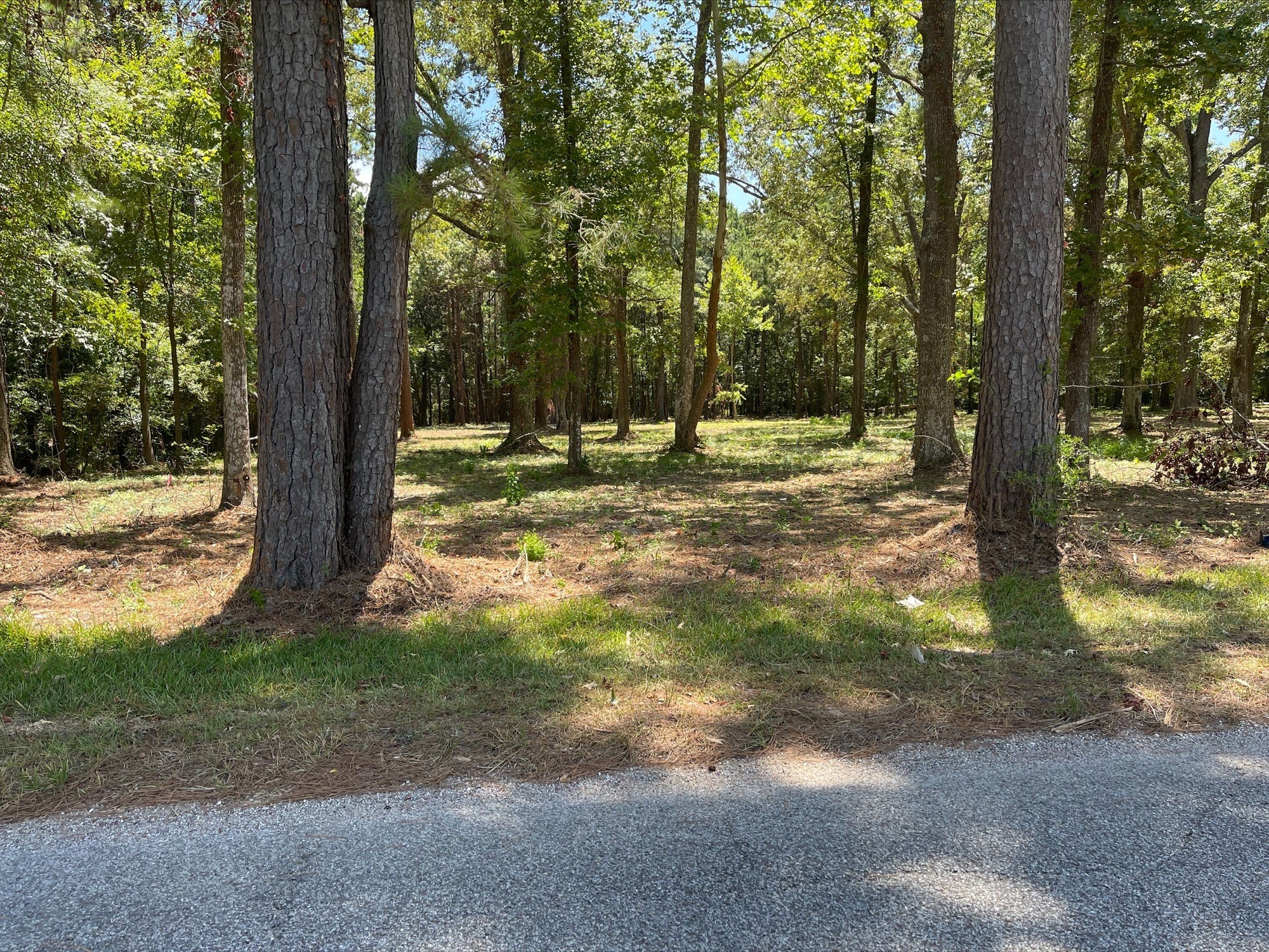 5 River Terrace Road Huffman, TX 77336 - Photo 7 of 8