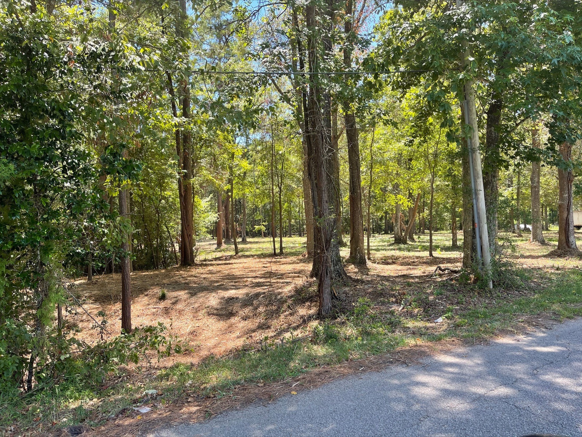 5 River Terrace Road Huffman, TX 77336 - Photo 8 of 8