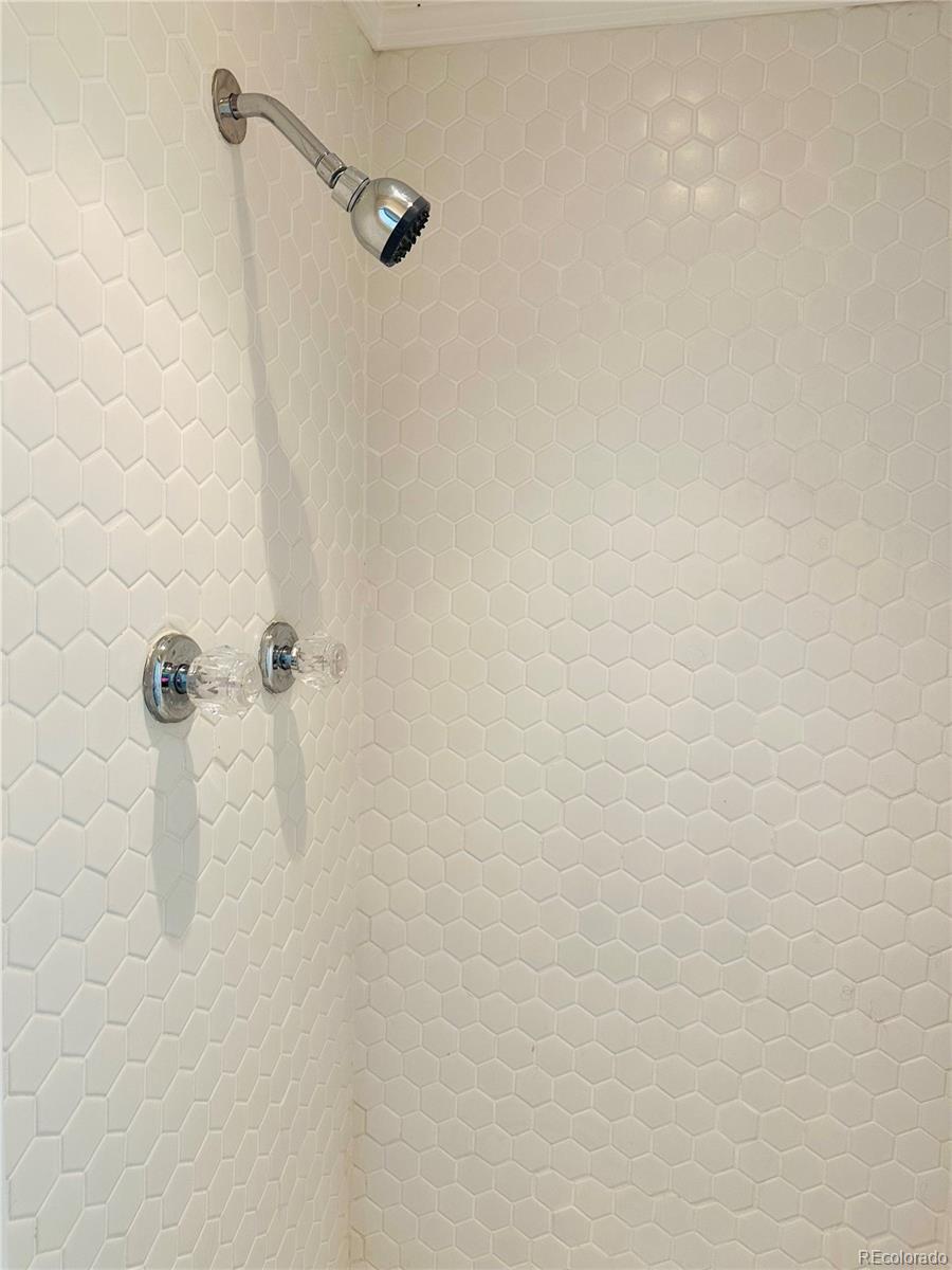 1400 South Clermont Street, Unit 9 Denver, CO 80222 - Photo 7 of 9 a close view of a bathroom shower