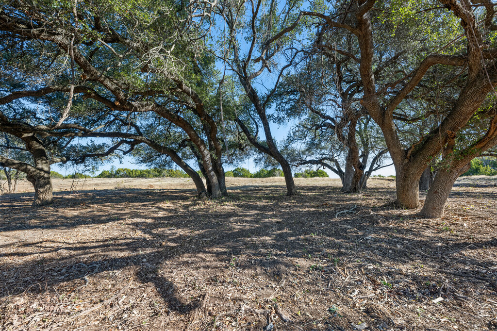 166 Whispering Wind Road Bertram, TX 78605 - Photo 8 of 10 a view of forest