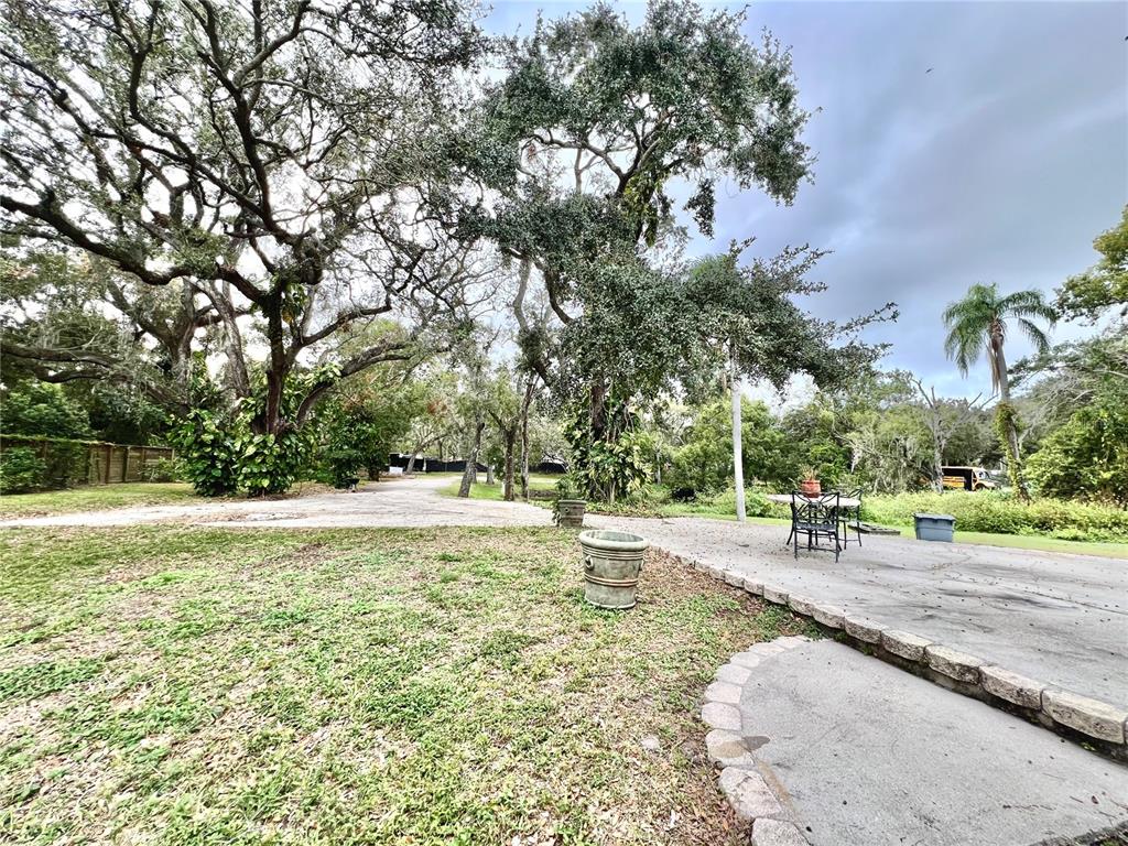 1109 Belcher Road Palm Harbor, FL 34683 - Photo 59 of 59