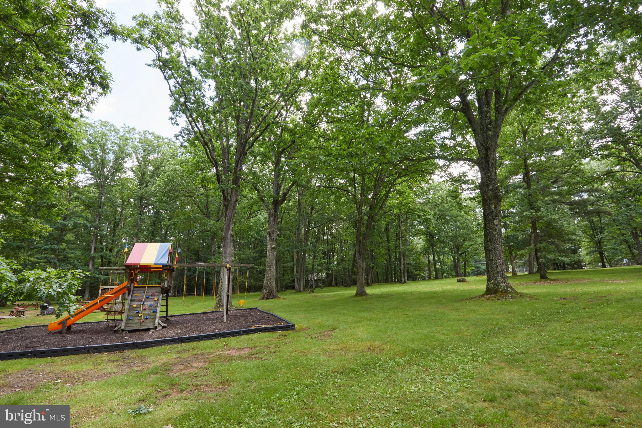 193 Red Run Road, Unit 1B3 Oakland, MD 21550 - Photo 50 of 57 More grounds to play or walk a dog