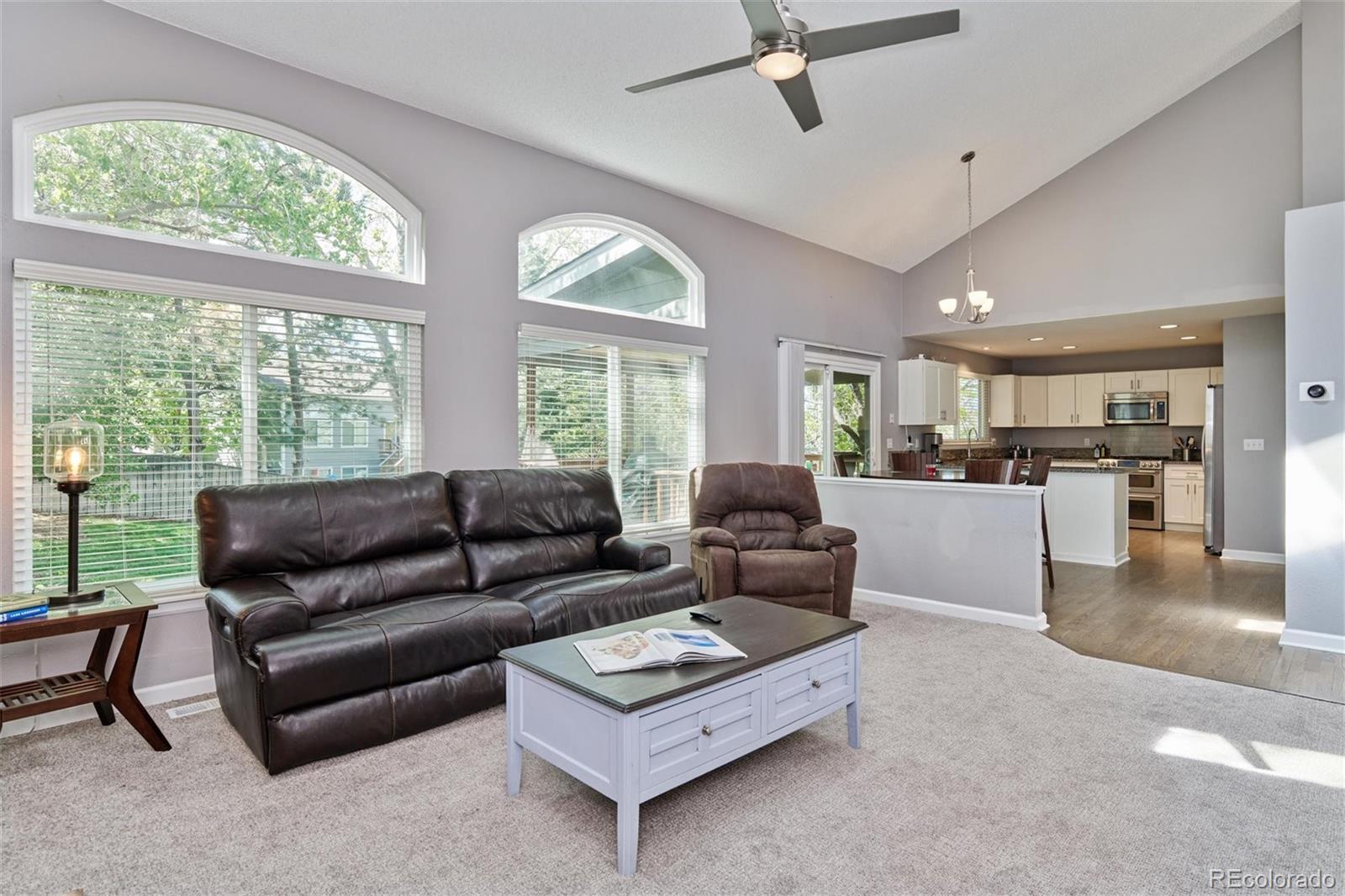 10038 Silver Maple Road Highlands Ranch, CO 80129 - Photo 17 of 40 Gallery Image 17