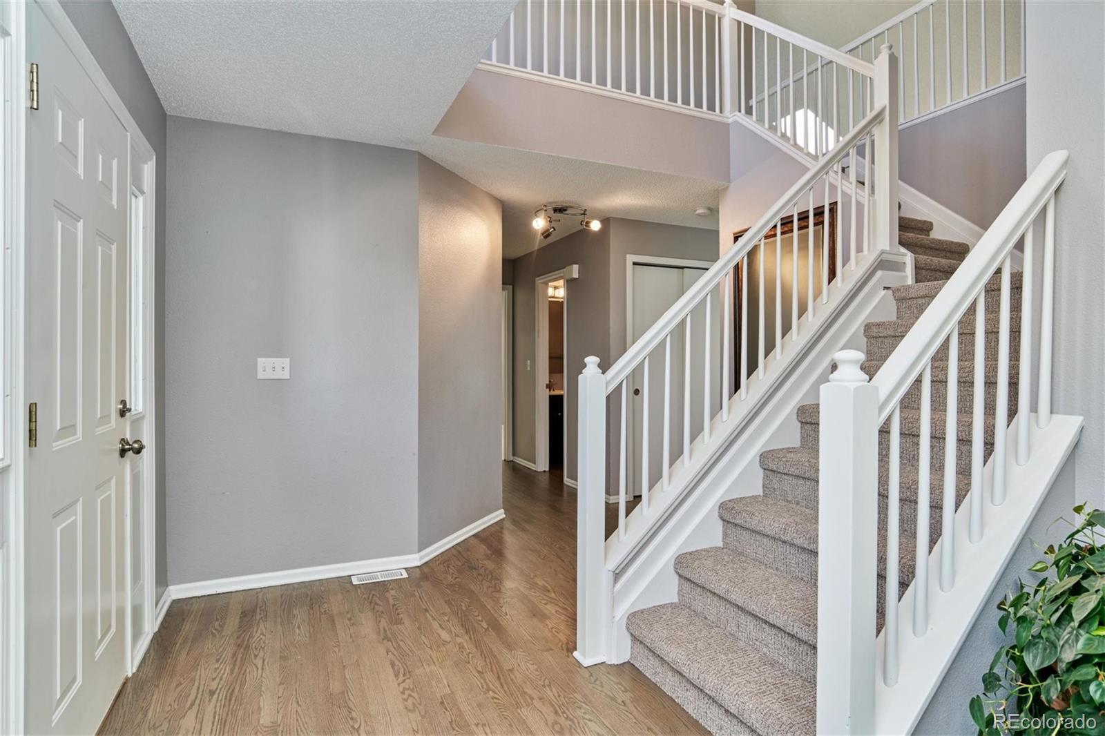 10038 Silver Maple Road Highlands Ranch, CO 80129 - Photo 2 of 40 Gallery Image 2