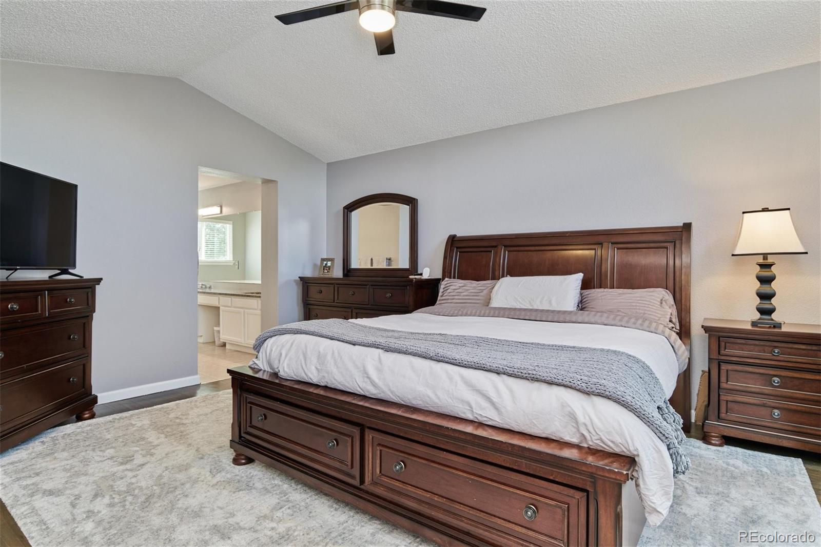 10038 Silver Maple Road Highlands Ranch, CO 80129 - Photo 21 of 40 Gallery Image 21