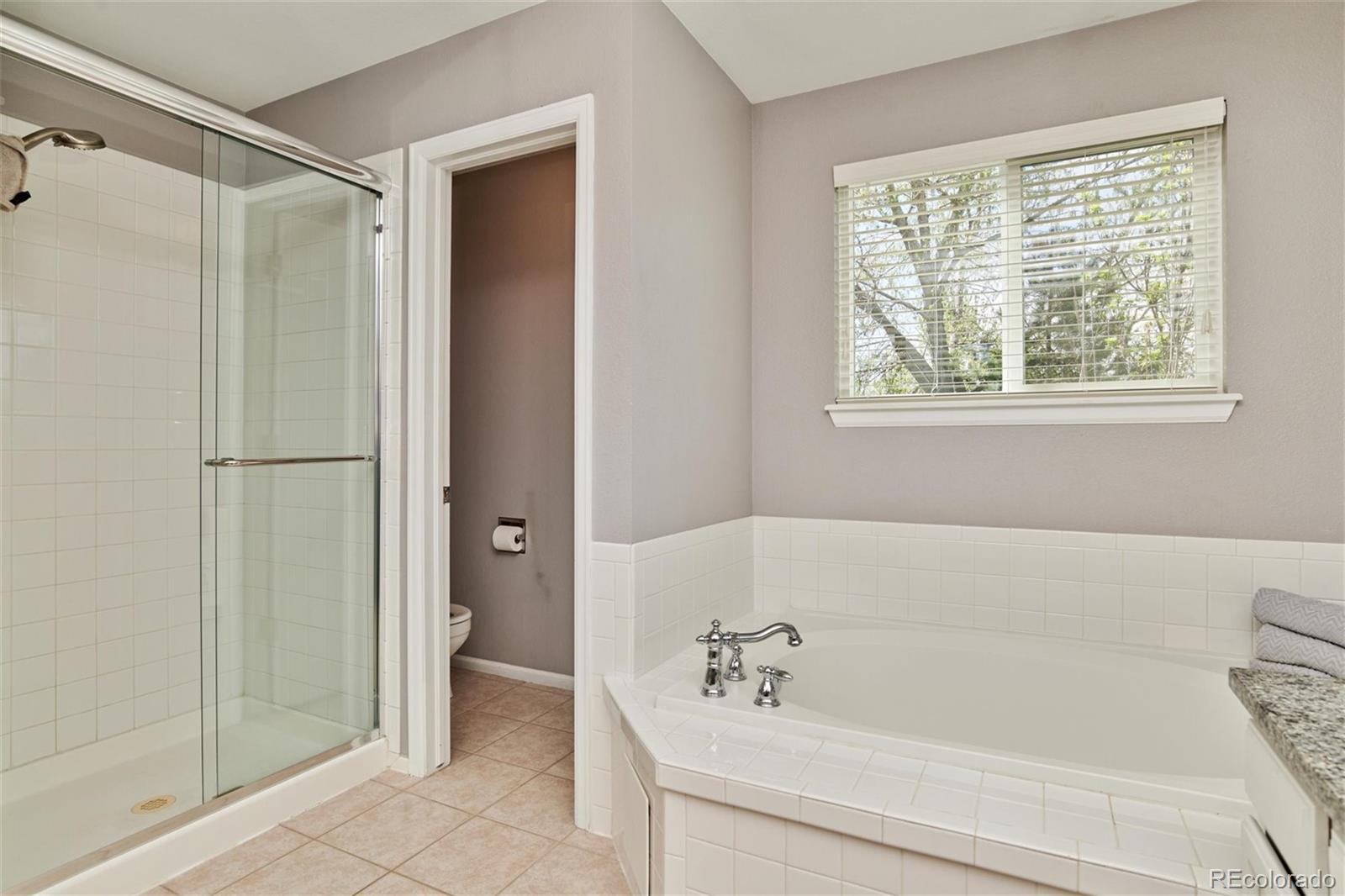 10038 Silver Maple Road Highlands Ranch, CO 80129 - Photo 24 of 40 Gallery Image 24