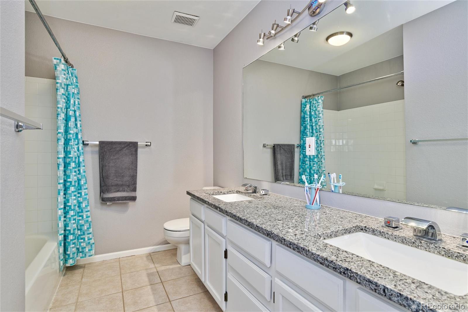 10038 Silver Maple Road Highlands Ranch, CO 80129 - Photo 25 of 40 Gallery Image 25