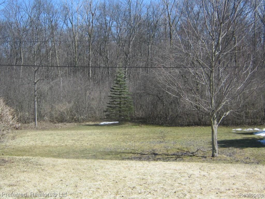 4222 Berry Road Plymouth, MI 48170 - Photo 7 of 29 4222 Berry Road wooded rear yard.jpg