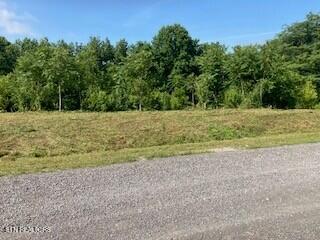 Lot 36 Lanis Road Baxter, TN 38544 - Photo 3 of 10 Photo 3