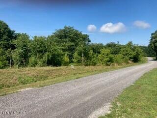 Lot 36 Lanis Road Baxter, TN 38544 - Photo 4 of 10 Photo 4