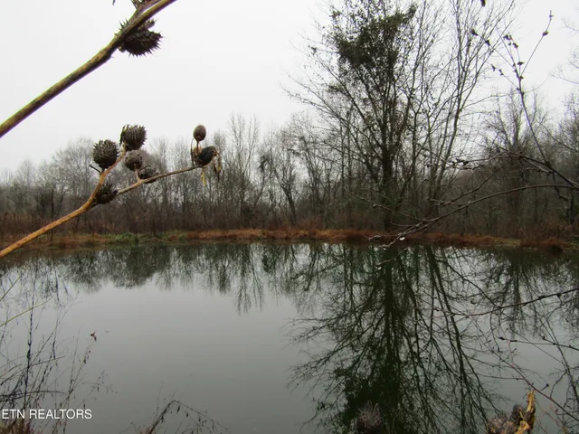 $59,900 | Lot 36 Lanis Road, Baxter, TN 38544