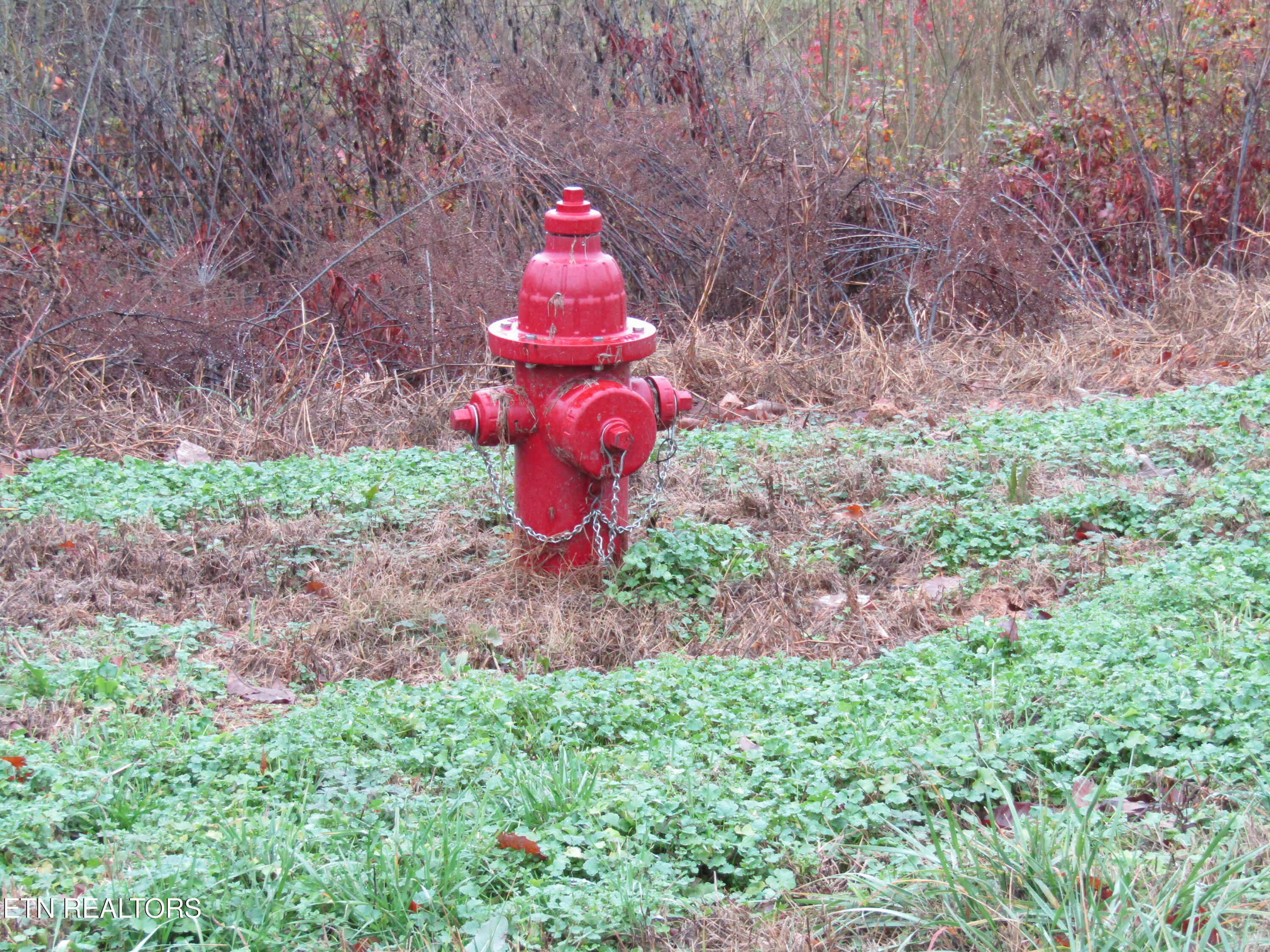 Lot 36 Lanis Road Baxter, TN 38544 - Photo 7 of 10 IMG_0943