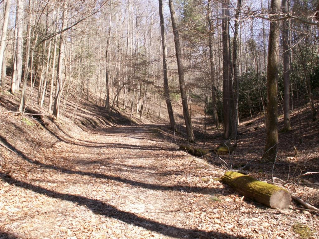 357 Cove Ridge Road Butler, TN 37640 - Photo 26 of 36 NICE DRIVEWAY UP