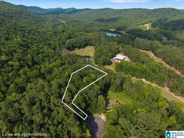 $49,500 | 0 Bellerive Circle, Unit 1, Oneonta, AL 35121