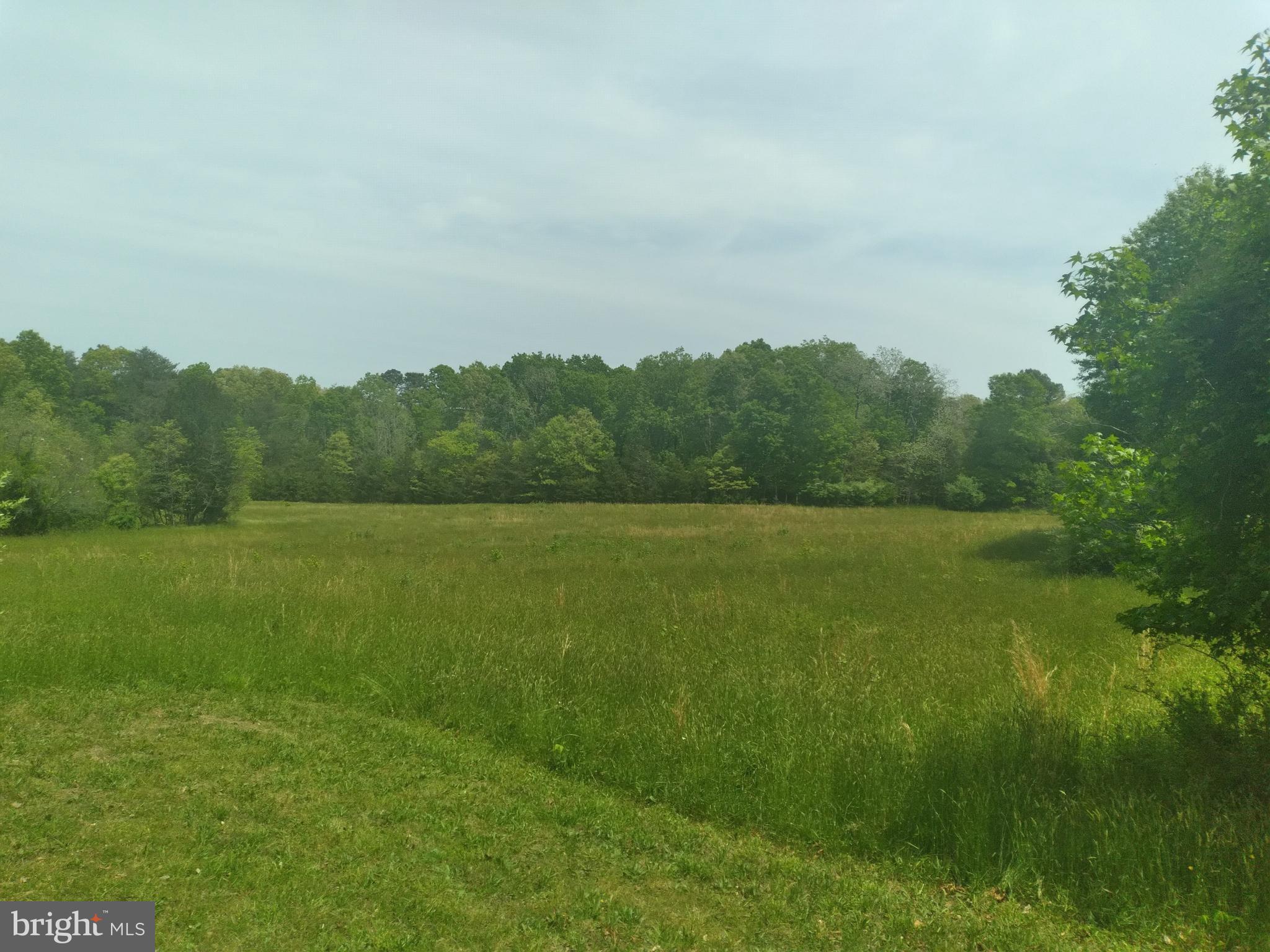 68 Pecks Corner-Cohansey Road Bridgeton, NJ 08302 - Photo 1 of 4 Gallery Image 1