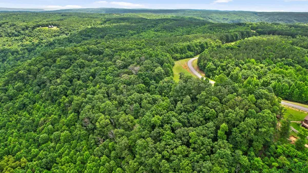 $55,000 | 0 Preservation Drive, Unit 29, South Pittsburg, TN 37380