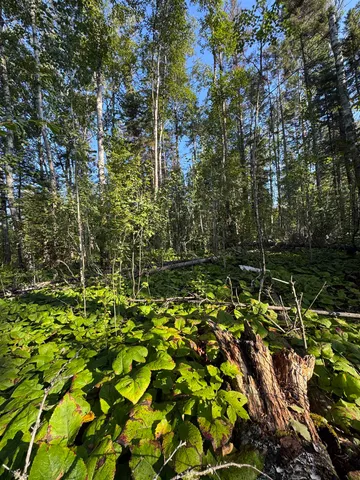 $179,900 | 5361 Highway 61, Lutsen, MN 55612