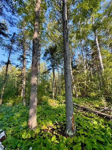 $179,900 | 5361 Highway 61, Lutsen, MN 55612