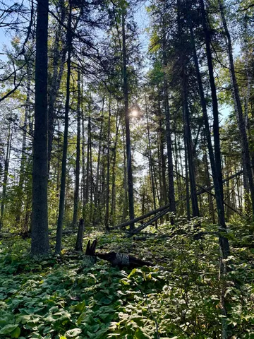 $179,900 | 5361 Highway 61, Lutsen, MN 55612