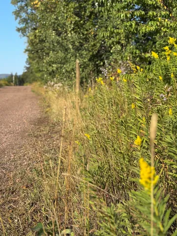 $179,900 | 5361 Highway 61, Lutsen, MN 55612